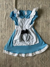 Alice in Wonderland Costume 5
