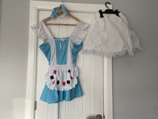 Alice in Wonderland Costume