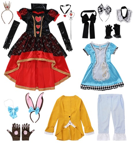 Alice wonderland costume - in,