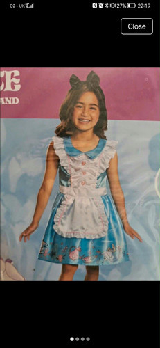 Disguise alice wonderland - disguise,