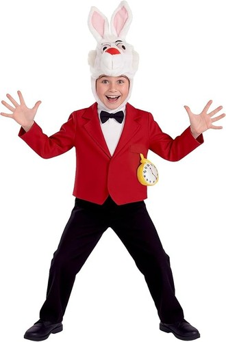 Kids white rabbit costume - rabbit,