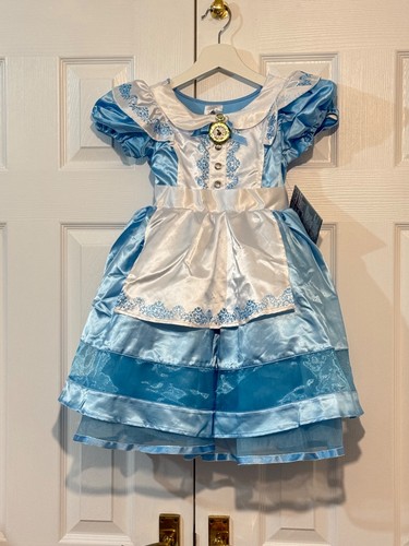 Disney blue alice costume - disney,