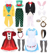 ALICE IN WONDERLAND COSTUME