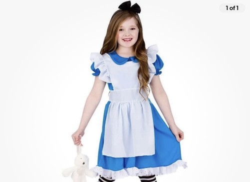 Alice wonderland costume - alice,