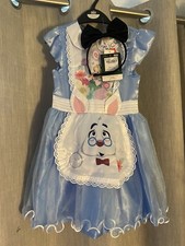 Alice in Wonderland Costume